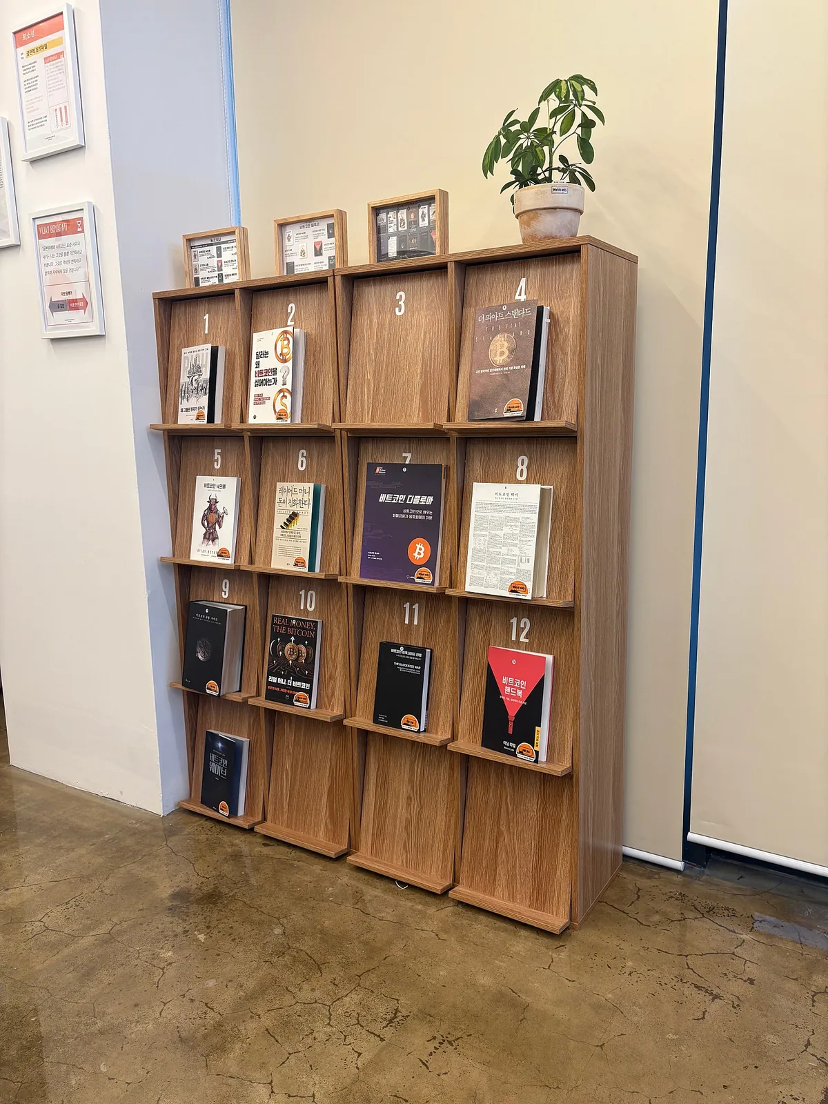 The Bitcoin library photographed on opening day
